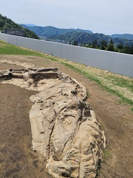 福井県立恐竜博物館に投稿された画像（2024/4/26）