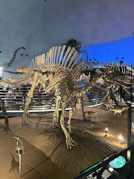 福井県立恐竜博物館に投稿された画像（2024/4/26）