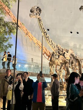 福井県立恐竜博物館に投稿された画像（2024/4/26）