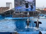 名古屋港水族館に投稿された画像（2024/4/26）