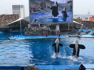 名古屋港水族館に投稿された画像（2024/4/26）