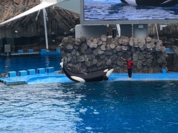 名古屋港水族館に投稿された画像（2024/4/26）