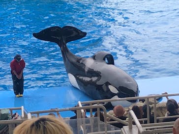 名古屋港水族館に投稿された画像（2024/4/26）