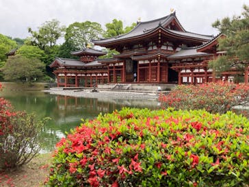 京阪電車に投稿された画像（2024/4/26）