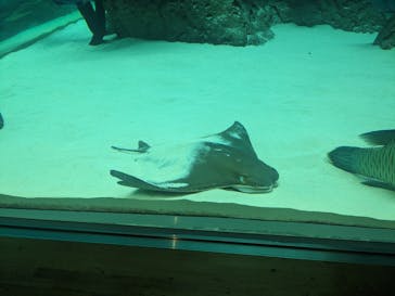 名古屋港水族館に投稿された画像（2024/4/26）