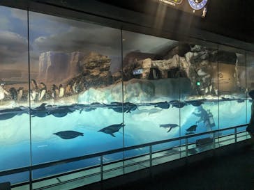 名古屋港水族館に投稿された画像（2024/4/26）