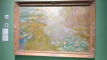 モネ　連作の情景に投稿された画像（2024/4/26）