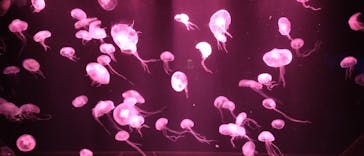 AOAO SAPPOROに投稿された画像（2024/4/26）