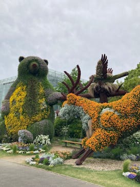 浜名湖花博2024に投稿された画像（2024/4/26）