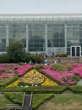 浜名湖花博2024に投稿された画像（2024/4/26）