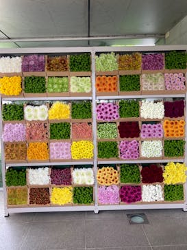 浜名湖花博2024に投稿された画像（2024/4/26）