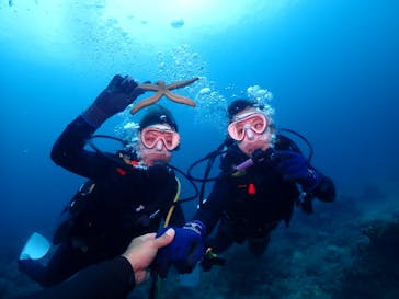 ダイブロックに投稿された画像（2024/4/26）