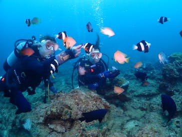 ダイブロックに投稿された画像（2024/4/26）