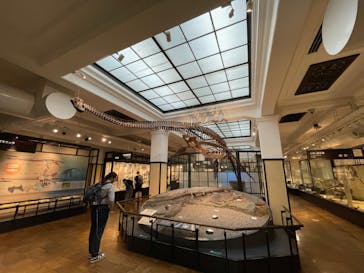 国立科学博物館に投稿された画像（2024/4/26）