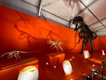 オダイバ恐竜博覧会2024 -福井から“ヤツラ”が新幹線でやってくる！-に投稿された画像（2024/4/26）