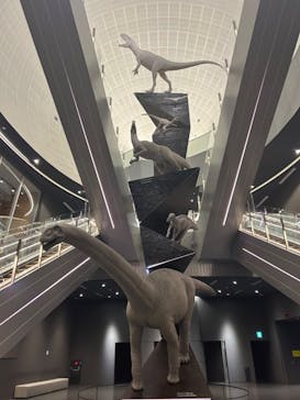 福井県立恐竜博物館に投稿された画像（2024/4/26）