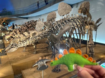 福井県立恐竜博物館に投稿された画像（2024/4/26）