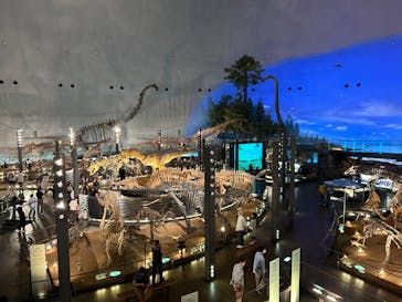 福井県立恐竜博物館に投稿された画像（2024/4/26）