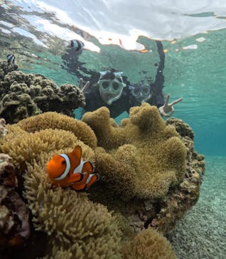 初心者専門宮古島シュノーケリングツアーに投稿された画像（2024/4/26）