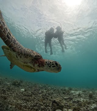 初心者専門宮古島シュノーケリングツアーに投稿された画像（2024/4/26）