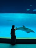 アクアワールド茨城県大洗水族館に投稿された画像（2024/4/27）