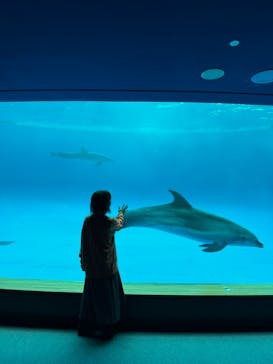 アクアワールド茨城県大洗水族館に投稿された画像（2024/4/26）