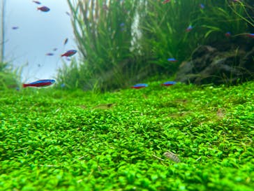 AOAO SAPPOROに投稿された画像（2024/4/26）