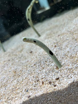 AOAO SAPPOROに投稿された画像（2024/4/26）