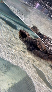 AOAO SAPPOROに投稿された画像（2024/4/26）