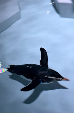 AOAO SAPPOROに投稿された画像（2024/4/26）