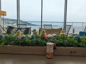 オーシャンスパ Fuuaに投稿された画像（2024/4/26）