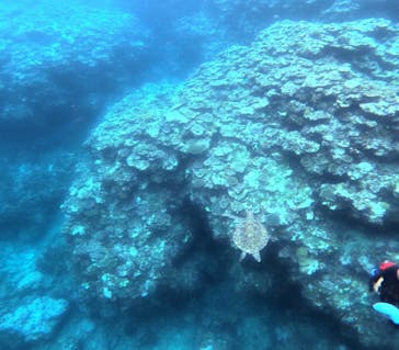 石垣島 ADVENTURE PiPi（イシガキジマアドベンチャーピピ）に投稿された画像（2024/4/26）