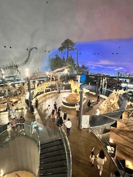 福井県立恐竜博物館に投稿された画像（2024/4/27）