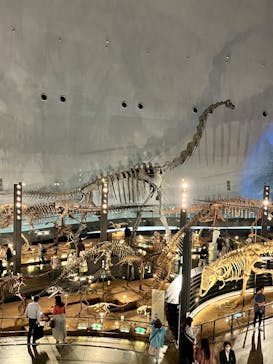福井県立恐竜博物館に投稿された画像（2024/4/27）