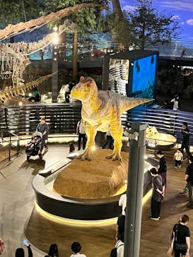 福井県立恐竜博物館に投稿された画像（2024/4/27）