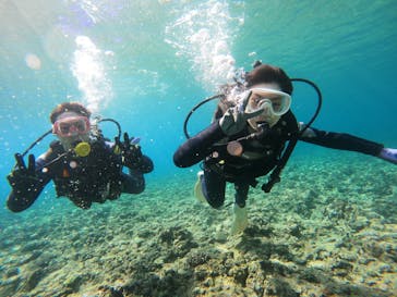 武藤潜水に投稿された画像（2024/4/27）