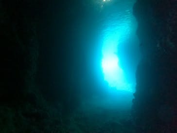 武藤潜水に投稿された画像（2024/4/27）