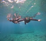 沖縄マリンサービス碧に投稿された画像（2024/4/27）