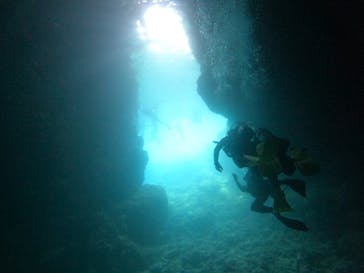 武藤潜水に投稿された画像（2024/4/27）