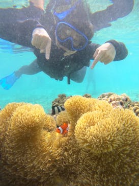 宮古島 ADVENTURE PiPi（ミヤコジマ アドベンチャー ピピ）に投稿された画像（2024/4/27）