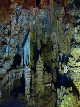 あぶくま洞に投稿された画像（2024/4/27）