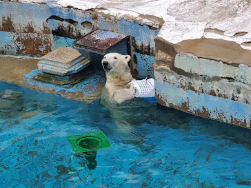 天王寺動物園に投稿された画像（2024/4/27）