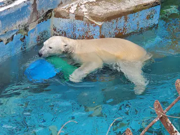 天王寺動物園に投稿された画像（2024/4/27）