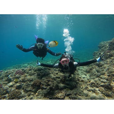 武藤潜水に投稿された画像（2024/4/27）