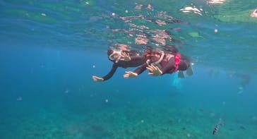 武藤潜水に投稿された画像（2024/4/27）