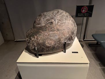 国立科学博物館に投稿された画像（2024/4/27）