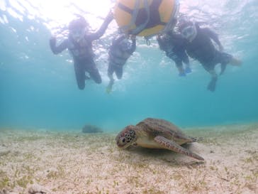 初心者専門宮古島シュノーケリングツアーに投稿された画像（2024/4/27）