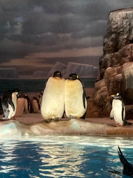名古屋港水族館に投稿された画像（2024/4/27）