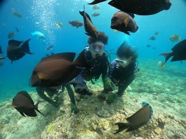 武藤潜水に投稿された画像（2024/4/27）