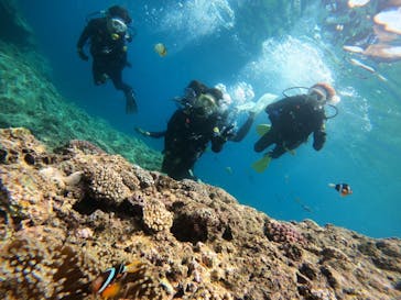 武藤潜水に投稿された画像（2024/4/27）